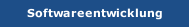 Softwareentwicklung